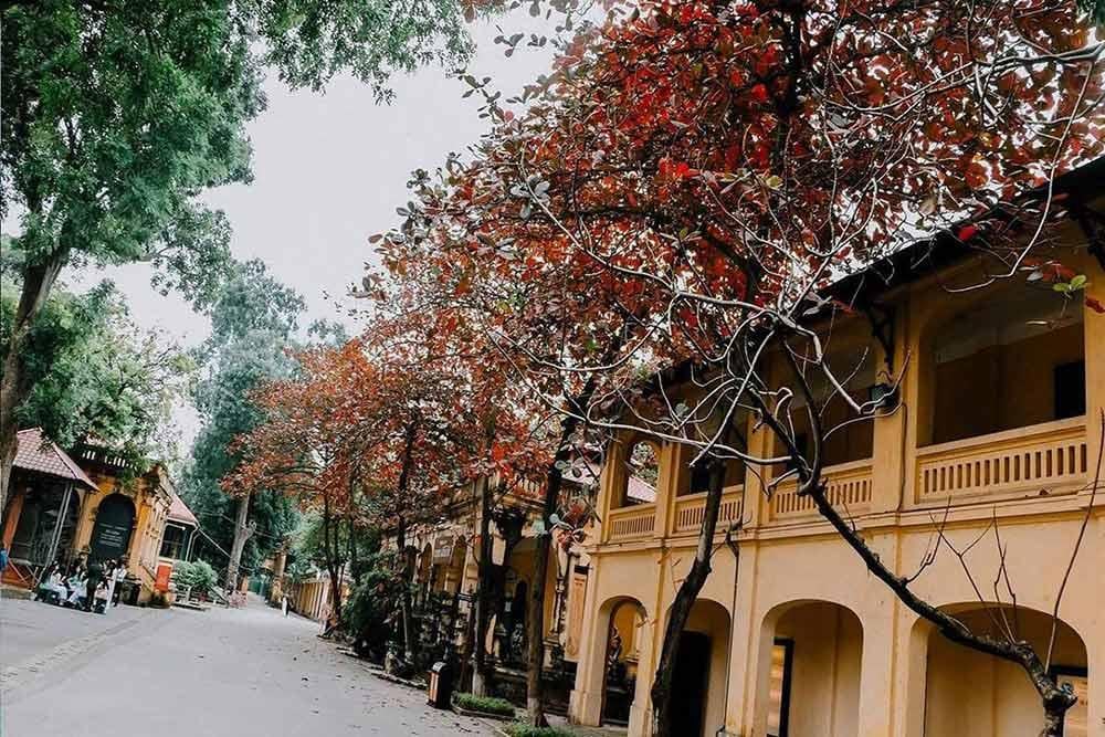 Mùa thu tại Hải Phòng có thời tiết dễ chịu, thích hợp để tham quan thành phố